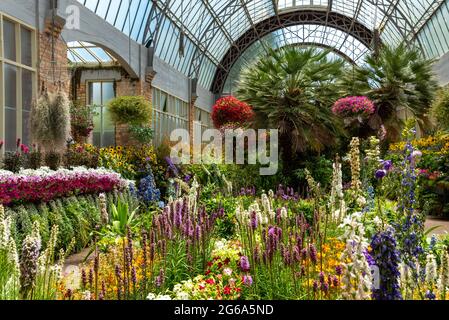 Bellissimi fiori al Domain WinterGardens di Auckland, Nuova Zelanda Foto Stock