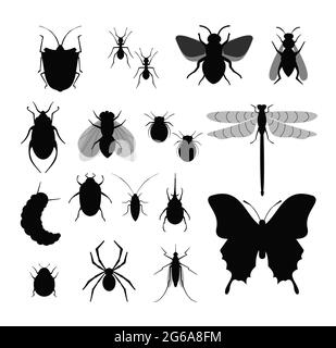 Illustrazione vettoriale insieme di insetti, raccolta di differenti silhouette di insetti, mosca, ape, zecche e bug, ragno su sfondo bianco. Illustrazione Vettoriale