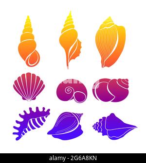 Illustrazione vettoriale Set di conchiglie, conchiglie marine dai colori brillanti, silhouette isolata su sfondo bianco. Illustrazione Vettoriale