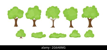 Illustrazione vettoriale insieme di alberi stilizzati astratti su sfondo bianco. Collezione di alberi e cespugli in stile cartoon piano. Illustrazione Vettoriale