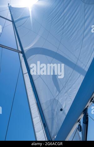 Vele riempite di vento da yacht su sfondo blu chiaro del cielo. Vela con il vento a mare aperto, concetto di vacanze estive. Guardando verso il cielo, sole cenere Foto Stock