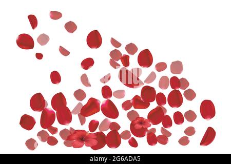 Petali di rosa cadono sul pavimento. Illustrazione Vettoriale