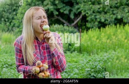 un mazzo di cipolle fresche nelle mani di una donna. Vendemmia in azienda. Natura. Messa a fuoco selettiva Foto Stock