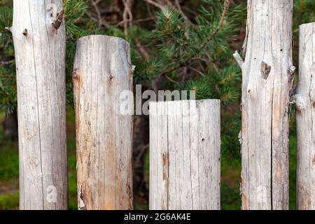 registra fence, frequenze, posiziona sotto il testo, usa come sfondo o texture Foto Stock