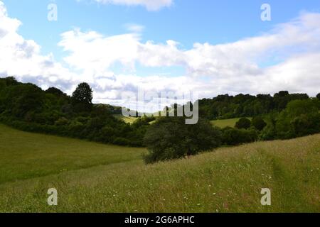 Magpie Bottom, vicino a Shoreham, Kent, è una valle secca alta nel nord Downs che è in fase di disavvallamento e ha notato la biodiversità. Coperto da SSSI Foto Stock