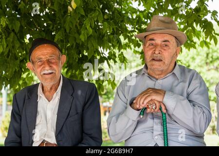 Anziani che riposano sotto l'albero a piazza, Hamedan (Hamadan), Provincia di Hamadan, Iran, Persia, Asia occidentale, Asia Foto Stock