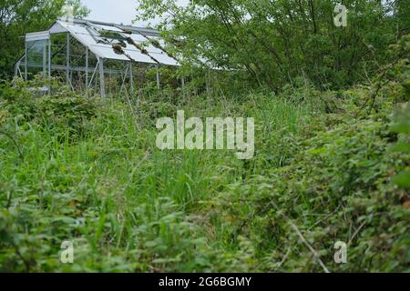 Abbandonato serra sopravita Glasshouse Foto Stock