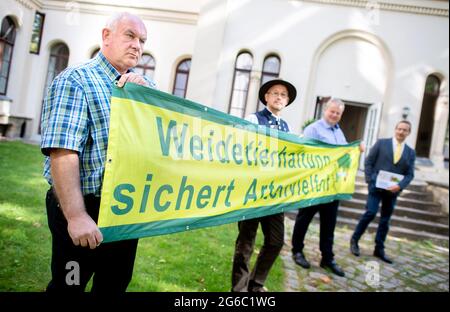 Hannover, Germania. 05 luglio 2021. I pastori si trovano nel cortile interno del Ministero dell'ambiente della bassa Sassonia, con una scritta che indica "l'allevamento di animali da pascolo garantisce la biodiversità". Il Landvolk Niedersachsen ha effettuato un'indagine rappresentativa sulla protezione del bestiame e dei lupi che pascolano nella bassa Sassonia. Credit: Hauke-Christian Dittrich/dpa/Alamy Live News Foto Stock
