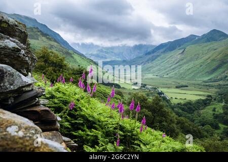 Ammira la valle di Nant Ffrancon fino alle montagne ricoperte di nuvole del Parco Nazionale di Snowdonia. Ogwen, Bethesda, Gwynedd, Galles del Nord, Regno Unito, La Gran Bretagna Foto Stock