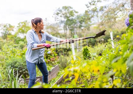 Giovane latina Donna che tovola lo sporco in giardino. Foto Stock