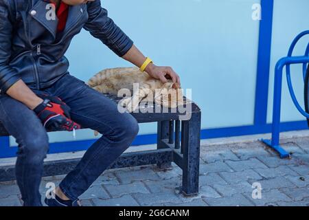 Il brutale motociclista ha un gatto vagabono sulla strada vicino al negozio. Il concetto di gentilezza e umanità. Spazio di copia. Foto di alta qualità Foto Stock