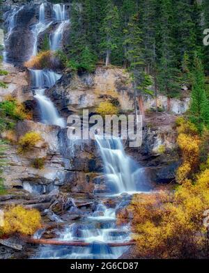 Groviglio cade con caduta salici colorati. Parco Nazionale di Jasper, Alberta, Canada Foto Stock