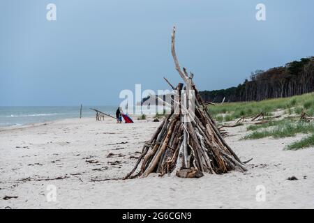 Treibgut angeschwemmtes Holz am Prerower Westrand auf dem Darß an Der Ostseeküste Foto Stock