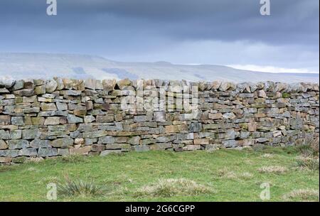 Muro in pietra a secco di recente costruzione nelle valli dello Yorkshire. North Yorkshire, Regno Unito. Foto Stock