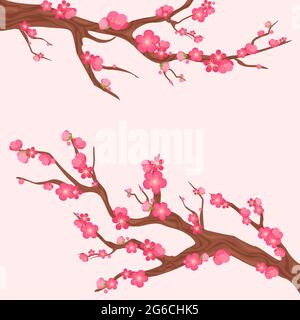 Illustrazione vettoriale del ramo di ciliegio del giappone con fiori in fiore. Sakura si dirama con molti bellissimi fiori su sfondo rosa chiaro. Illustrazione Vettoriale