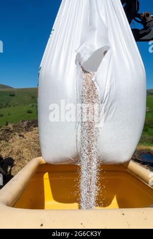 Caricamento di un spandiconcime con un fertilizzante granulare NPK 20-10-10 da distribuire su terreni in salita per favorire la crescita dell'erba. Foto Stock