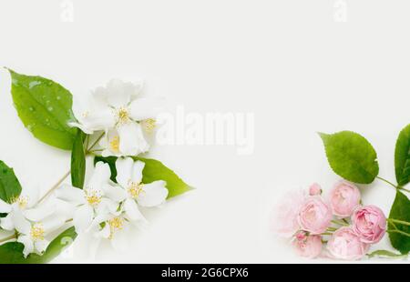 Sfondo bianco isolato con fiori di gelsomino, rosa e valeriana Foto Stock