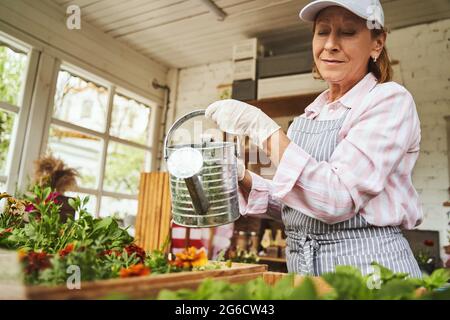 Donna matura e rilassata che irriga piante in cassetti Foto Stock