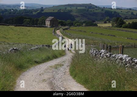 Persone che camminano cani in una corsia di campagna tra muri di pietra a secco in un giorno estivo soleggiato nel Peak District - Hartington, Derbyshire, Inghilterra, Regno Unito Foto Stock