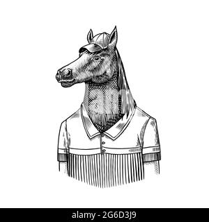 Personaggio cavallo in cappotto. Lettore di polo Dobbin. Animale alla moda, Signore vitoriano in una giacca. Disegno a mano inciso vecchio schizzo monocromatico. Vettore Illustrazione Vettoriale