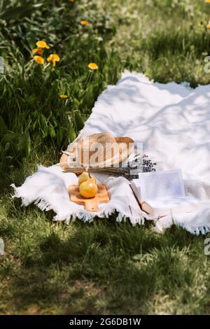 Coperta da pic-nic con accessori femminili collocati sul prato verde in estate soleggiato giorno in campagna Foto Stock