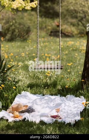 Coperta da pic-nic con accessori femminili collocati sul prato verde vicino altalene appese sull'albero in estate soleggiato giorno in campagna Foto Stock