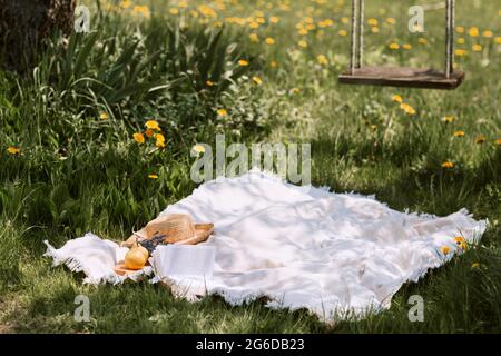 Coperta da pic-nic con accessori femminili collocati sul prato verde vicino altalene appese sull'albero in estate soleggiato giorno in campagna Foto Stock