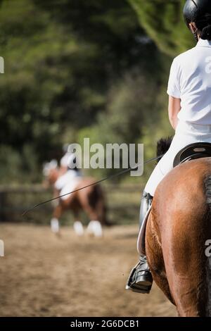 Indietro vista del raccolto irriconoscibile femmina equestre cavallo di castagno su paddock di sabbia durante l'allenamento in club equestre Foto Stock