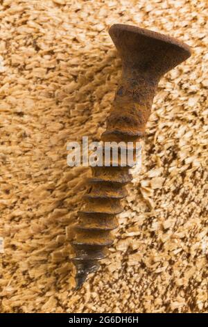 Primo piano della vite arrugginita sulla parte superiore del pezzo di fondo in legno tagliato a croce Foto Stock