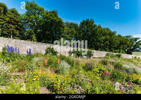 Colorati fiori estivi in una giornata di sole con cielo blu, Gilmerton murato giardino, East Lothian, Scozia, Regno Unito Foto Stock