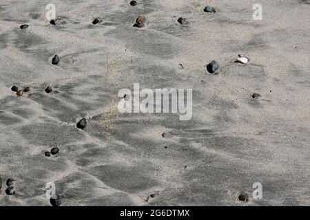 Spiaggia ciottoli in sabbia sulla costa occidentale isola di vancouver Foto Stock