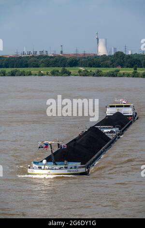 Navigazione interna, nave da carico olandese Privilege porta carbone importato, carbone centrale elettrica, da Rotterdam alla Germania meridionale, qui sul Reno al p Foto Stock