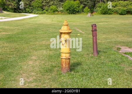 Incendio in un parco Foto Stock