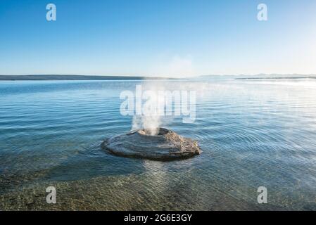 Fumarole fumarole fumarole in lago, Fishing Cone, West Thumb Geyser Basin, Yellowstone Lake, Yellowstone National Park, Wyoming, USA Foto Stock