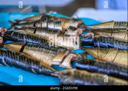 Pezzi di sgombro affumicato giacciono su un nastro trasportatore. Fabbrica di cibo di pesce. Foto Stock