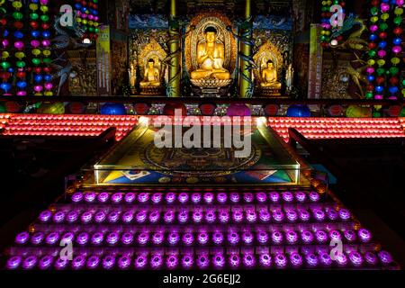 Le luci colorate illuminano i Buddha d'oro al Tempio Buddista di Yakcheonsa sull'Isola di Jeju, Corea del Sud Foto Stock