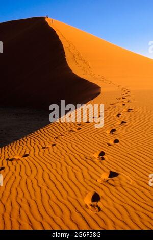 Le impronte umane dei viaggiatori portano alla cima del più grande tramonto africano della duna del 45. Sossusvlei, Namibia, Africa Foto Stock