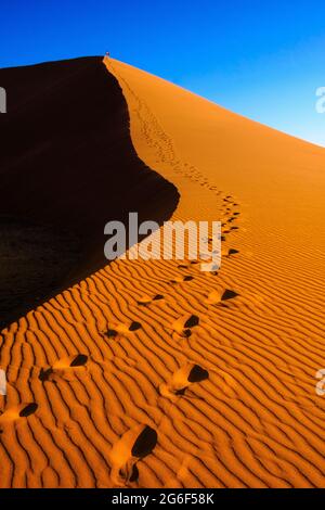 Le impronte umane dei viaggiatori portano alla cima del più grande tramonto africano della duna del 45. Sossusvlei, Namibia, Africa Foto Stock