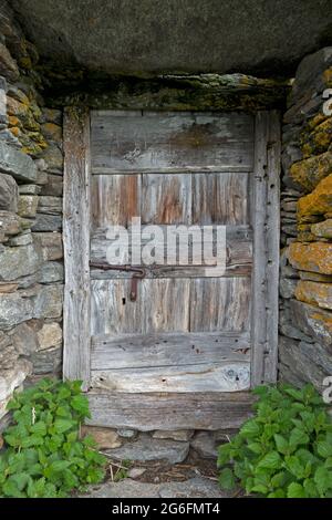 Porta in legno grugnosa e intemperie con cursore arrugginito Foto Stock