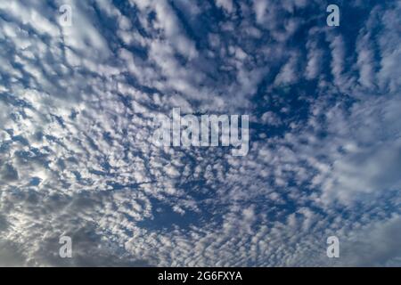 Cumulus nuvole contro il cielo blu. Nuvole di diverse dimensioni Foto Stock