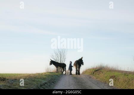 Ragazza con asini sulla strada rurale Foto Stock