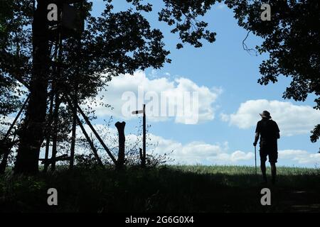 Uomo escursioni sulla soleggiata sentiero, Saar-Hunsrueck-Steig, Germania Foto Stock