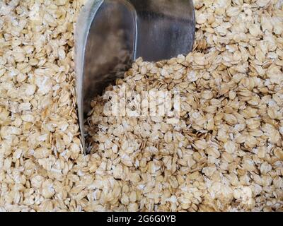 Pianta di segale. Segale grano. Shopping al negozio di alimentari. Foto Stock