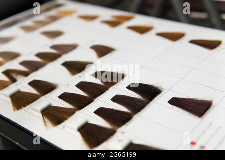 Set completo di serrature di tutti i più utilizzati i capelli dei campioni di colore Foto Stock