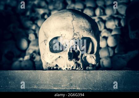 Teschi e ossa umani nell'Ossario di Sedlec (sobborgo di Kutna Hora), in Czechia Foto Stock