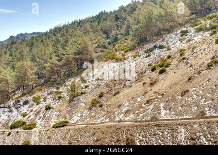 Sierra de Guadarrama, Spagna Foto Stock