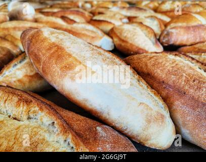 Pane. Pane fresco nella panetteria. Foto Stock