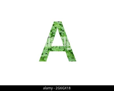 Lettera A dell'alfabeto fatto con foglia verde di geranio, isolato su fondo bianco Foto Stock