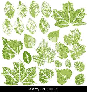 Raccolta di foglie verdi di autunno o primavera. Set di disegni vettoriali con vernici acriliche. Stampa a due colori, impronta. Ottimo per il design di striscioni, volare Illustrazione Vettoriale