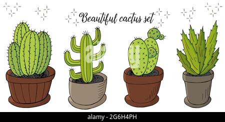 Simpatica illustrazione vettoriale. Set di immagini cartoon di cactus in vasi di fiori. Cactus, aloe, succulenti. Collezione creativa. Elementi naturali decorativi sono Illustrazione Vettoriale